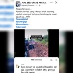 GEMPAR! “Anak Pejabat” Sarankan Warga “Cari Jalan Lain”, Warga Tulangbawang Murka