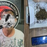 Satresnarkoba Polres Metro Bekasi Ungkap Dugaan Peredaran Ganja, Seorang Pria Diamankan Di Jakarta Timur